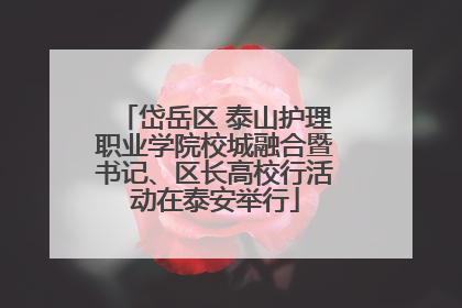 岱岳区 泰山护理职业学院校城融合暨书记、区长高校行活动在泰安举行