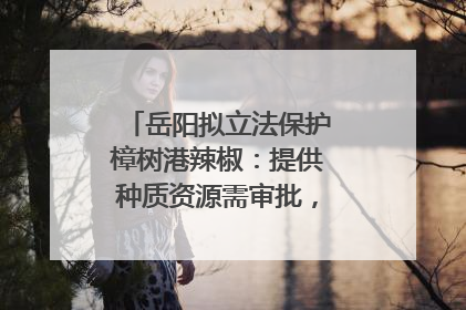 岳阳拟立法保护樟树港辣椒：提供种质资源需审批，违规最高罚5万