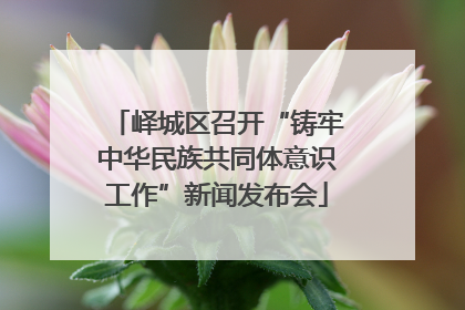 峄城区召开“铸牢中华民族共同体意识工作”新闻发布会