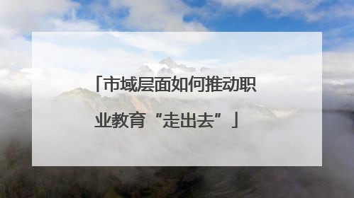 市域层面如何推动职业教育“走出去”