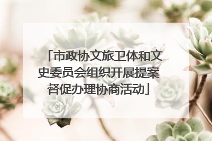 市政协文旅卫体和文史委员会组织开展提案督促办理协商活动