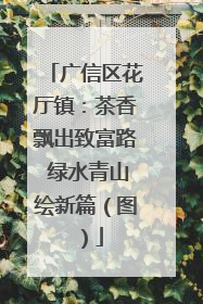 广信区花厅镇：茶香飘出致富路 绿水青山绘新篇（图）