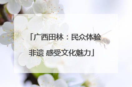 广西田林：民众体验非遗 感受文化魅力