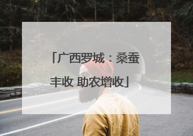广西罗城：桑蚕丰收 助农增收