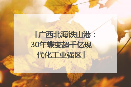 广西北海铁山港：30年蝶变超千亿现代化工业强区
