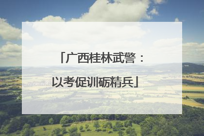 广西桂林武警：以考促训砺精兵
