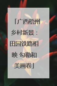 广西梧州乡村新景：田园铁路相映 勾勒和美画卷