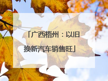 广西梧州：以旧换新汽车销售旺