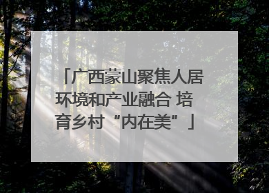 广西蒙山聚焦人居环境和产业融合 培育乡村“内在美”