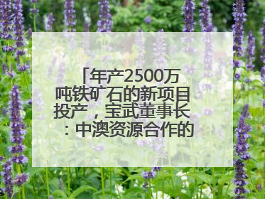 年产2500万吨铁矿石的新项目投产，宝武董事长：中澳资源合作的里程碑