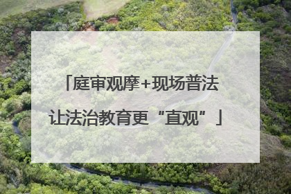 庭审观摩+现场普法 让法治教育更“直观”