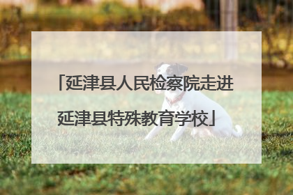 延津县人民检察院走进延津县特殊教育学校