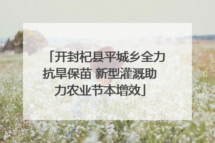 开封杞县平城乡全力抗旱保苗 新型灌溉助力农业节本增效