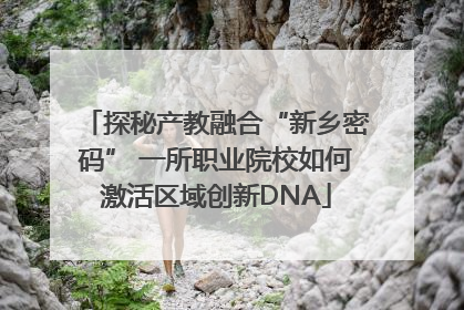 探秘产教融合“新乡密码” 一所职业院校如何激活区域创新DNA