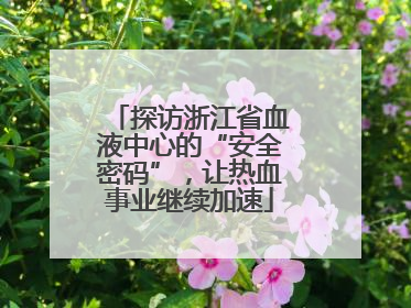 探访浙江省血液中心的“安全密码”，让热血事业继续加速