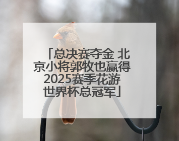 总决赛夺金 北京小将郭牧也赢得2025赛季花游世界杯总冠军
