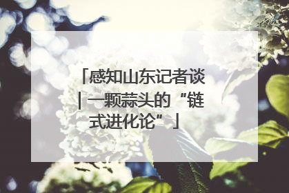 感知山东记者谈｜一颗蒜头的“链式进化论”