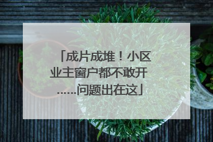 成片成堆！小区业主窗户都不敢开……问题出在这
