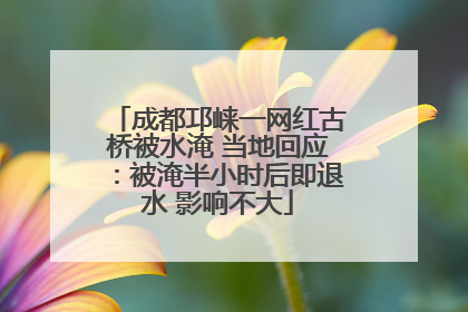 成都邛崃一网红古桥被水淹 当地回应：被淹半小时后即退水 影响不大