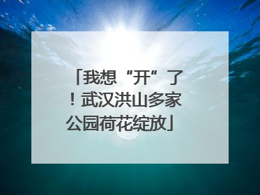 我想“开”了！武汉洪山多家公园荷花绽放