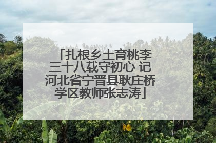 扎根乡土育桃李 三十八载守初心 记河北省宁晋县耿庄桥学区教师张志涛