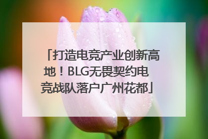 打造电竞产业创新高地！BLG无畏契约电竞战队落户广州花都