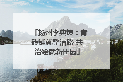 扬州李典镇：青砖铺就整洁路 共治绘就新田园