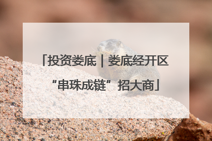 投资娄底｜娄底经开区“串珠成链”招大商