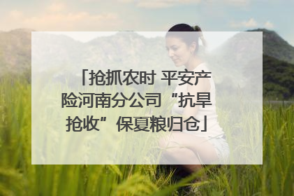 抢抓农时 平安产险河南分公司“抗旱抢收”保夏粮归仓