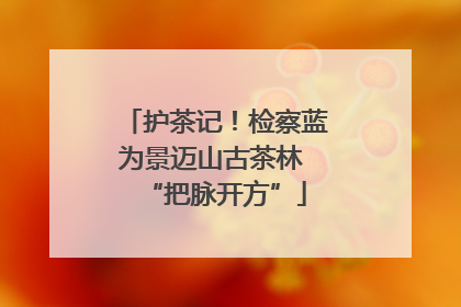 护茶记！检察蓝为景迈山古茶林 “把脉开方”