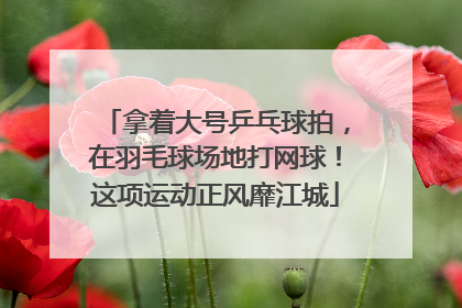拿着大号乒乓球拍，在羽毛球场地打网球！这项运动正风靡江城