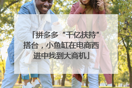 拼多多“千亿扶持”搭台，小鱼缸在电商西进中找到大商机