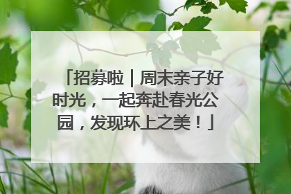 招募啦｜周末亲子好时光，一起奔赴春光公园，发现环上之美！