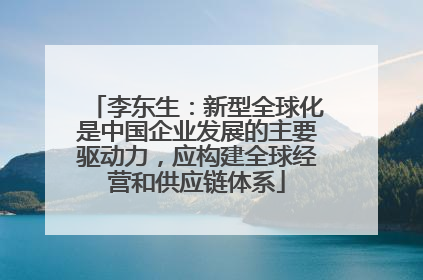 李东生：新型全球化是中国企业发展的主要驱动力，应构建全球经营和供应链体系