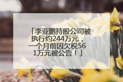 李亚鹏持股公司被执行约244万元，一个月前因欠税561万元被公告！