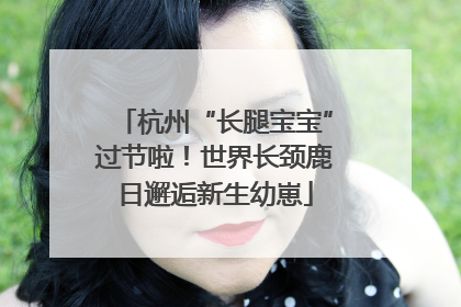 杭州“长腿宝宝”过节啦！世界长颈鹿日邂逅新生幼崽