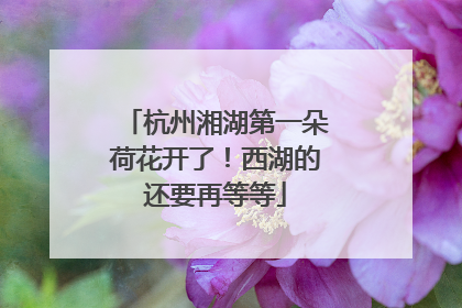 杭州湘湖第一朵荷花开了！西湖的还要再等等
