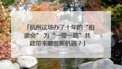 杭州这场办了十年的“相亲会” 为“一带一路”共建带来哪些新机遇？