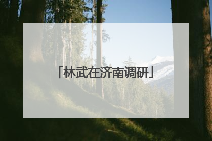 林武在济南调研