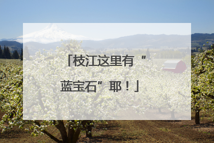 枝江这里有“蓝宝石”耶！