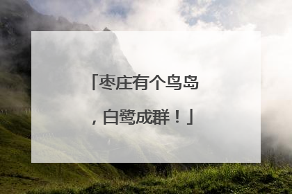 枣庄有个鸟岛，白鹭成群！