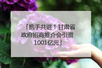 携手共进！甘肃省政府招商推介会引资1001亿元