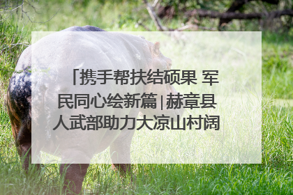 携手帮扶结硕果 军民同心绘新篇∣赫章县人武部助力大凉山村阔步乡村振兴路