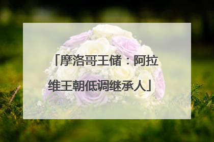 摩洛哥王储：阿拉维王朝低调继承人