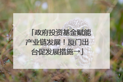 政府投资基金赋能产业链发展！厦门出台促发展措施→