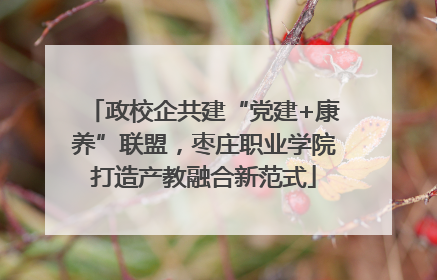 政校企共建“党建+康养”联盟，枣庄职业学院打造产教融合新范式