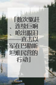 数次驱赶、连续巨响、呛出眼泪——直击以军在巴勒斯坦难民营的行动