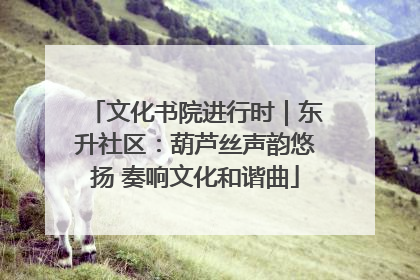 文化书院进行时｜东升社区：葫芦丝声韵悠扬 奏响文化和谐曲