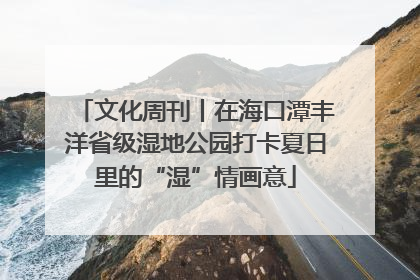 文化周刊丨在海口潭丰洋省级湿地公园打卡夏日里的“湿”情画意
