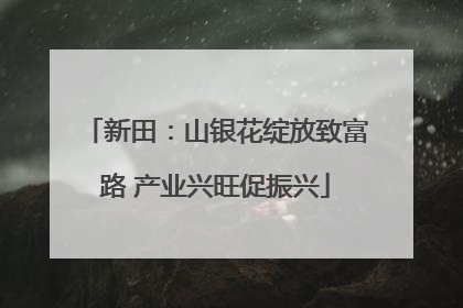 新田：山银花绽放致富路 产业兴旺促振兴